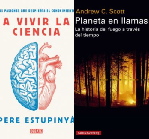 novetats biblioteca